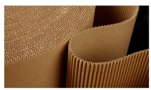 Papel y Carton
